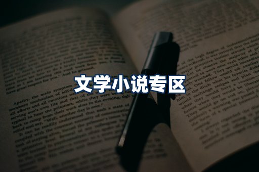 文学小说PDF展示